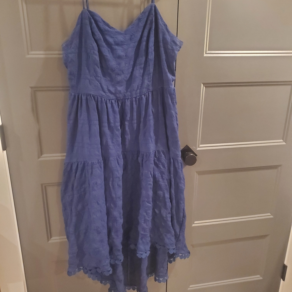Blue Max+Ash Dress